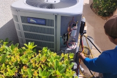 2026 03 24T14 30 06.638901Z 88361